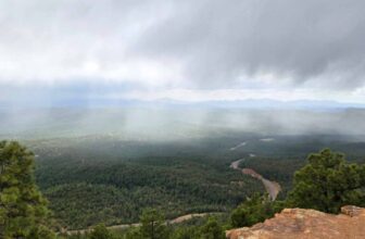 The Little Issues E-newsletter #468 -Life, laughter, and plenty of nice meals!