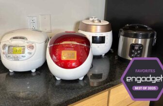 The perfect rice cooker for 2025