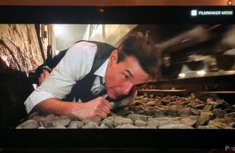 Do not spend any extra cash on this pointless TV characteristic