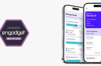 The most effective Mint alternate options