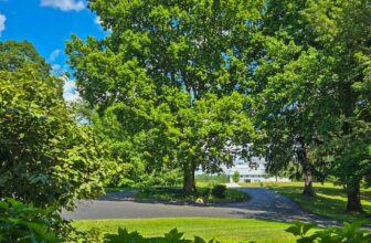 The Little Issues E-newsletter #476 – Life, laughter, and many nice meals!