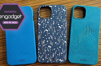 The most effective eco-friendly cellphone circumstances for 2025