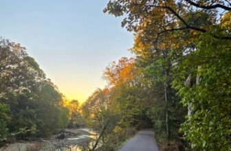 The Little Issues E-newsletter #491 – Life, laughter, and plenty of nice meals!