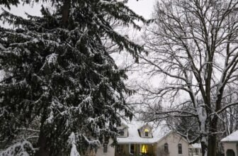 The Little Issues Publication #498 – Life, laughter, and plenty of nice meals!