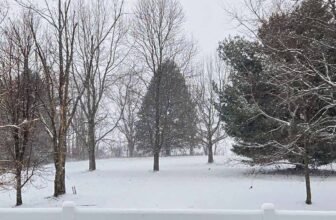 The Little Issues E-newsletter #499 – Life, laughter, and plenty of nice meals!